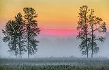 Foggy Sunrise_35671-2
